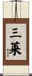 三莱 Scroll