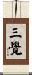 三覺 Scroll