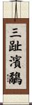 三趾濱鷸 Scroll