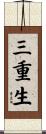 三重生 Scroll