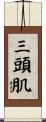 三頭肌 Scroll