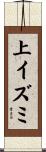 上イズミ Scroll