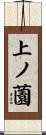 上ノ薗 Scroll