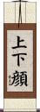 上下顔 Scroll
