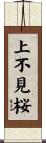 上不見桜 Scroll