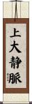 上大静脈 Scroll