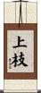 上枝 Scroll