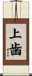 上歯 Scroll