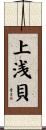 上浅貝 Scroll