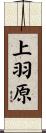 上羽原 Scroll