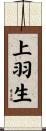 上羽生 Scroll