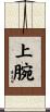 上腕 Scroll