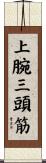 上腕三頭筋 Scroll