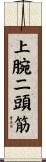 上腕二頭筋 Scroll