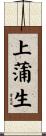 上蒲生 Scroll