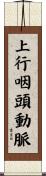 上行咽頭動脈 Scroll