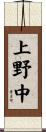 上野中 Scroll