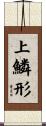 上鱗形 Scroll