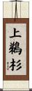 上鵜杉 Scroll