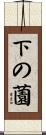 下の薗 Scroll