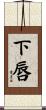 下唇 Scroll