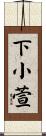 下小萱 Scroll