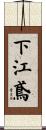 下江鳶 Scroll
