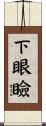 下眼瞼 Scroll
