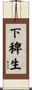 下稗生 Scroll
