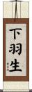下羽生 Scroll