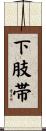 下肢帯 Scroll