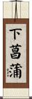 下菖蒲 Scroll