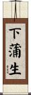 下蒲生 Scroll