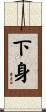 下身 Scroll