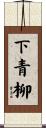 下青柳 Scroll