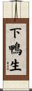 下鴨生 Scroll
