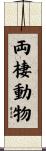 両棲動物 Scroll