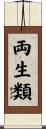 両生類 Scroll