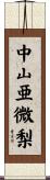 中山亜微梨 Scroll