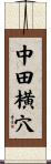 中田横穴 Scroll