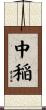 中稲 Scroll