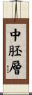 中胚層 Scroll