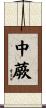中蕨 Scroll