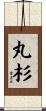 丸杉 Scroll