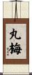 丸梅 Scroll