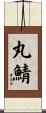 丸鯖 Scroll