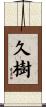 久樹 Scroll