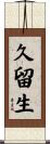 久留生 Scroll