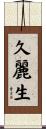 久麗生 Scroll