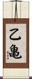 乙亀 Scroll